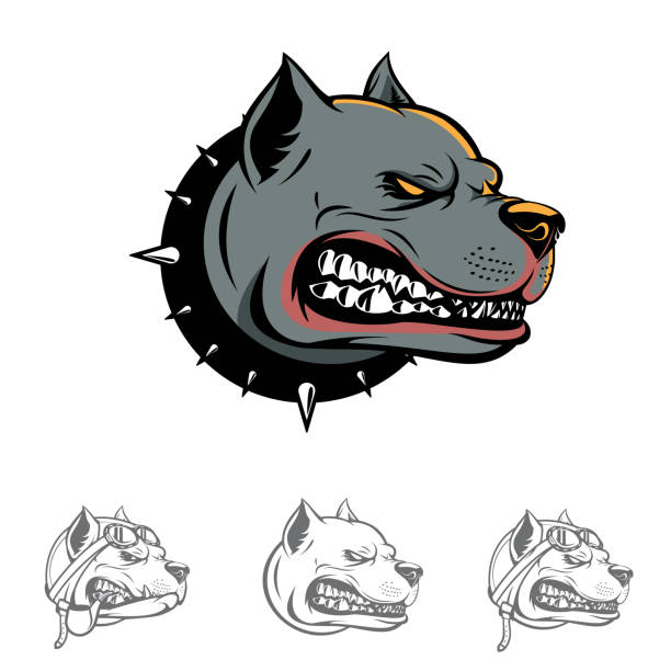 Pitbull Dog head symbol vector art illustration