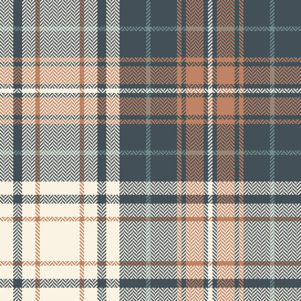 Plaid pattern vector in grey, beige, brown. Seamless herringbone tartan check graphic for flannel shirt, scarf, blanket, duvet cover, other modern spring summer autumn winter fashion textile print. Plaid pattern vector in grey, beige, brown. Seamless herringbone tartan check graphic for flannel shirt, scarf, blanket, duvet cover, other modern spring summer autumn winter fashion textile print. spring fashion stock illustrations