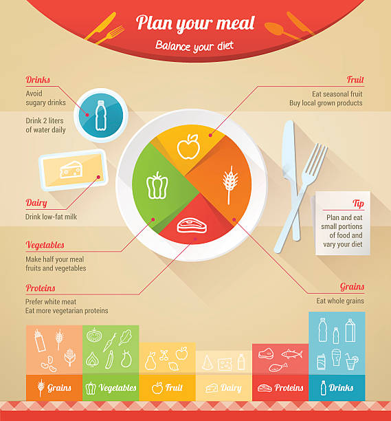 Plan your meal Plan your meal infographic with dish, chart and icons, healthy food and dieting concept healthy dinner stock illustrations