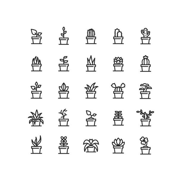 Plant In Pot Outline Icons Set of plant in clay pot outline vector icons. cactus icons stock illustrations