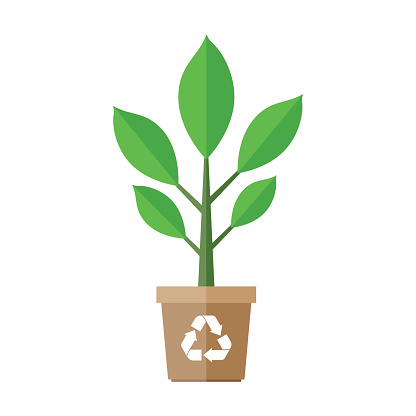 Plant In Pot Vector Element Stock Illustration Download Plant In Pot Vector Element Stock Illustration Download