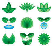 Colorful green abstract plants and leaves symbols. Isolated. Transparency effects consist of overlaid flat colors, no transparency filters are used.