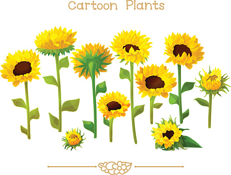 Plantae series cartoon plants: Sunflower set