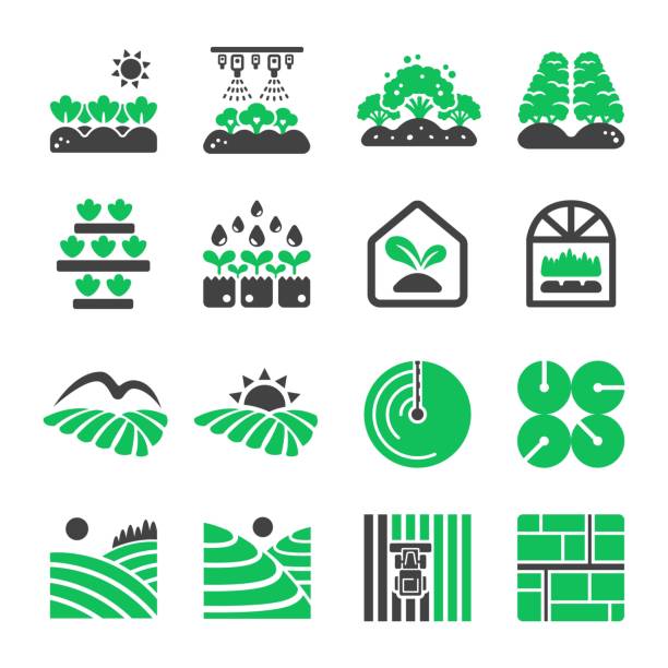 ilustrações, clipart, desenhos animados e ícones de ícone de plantação - plantação