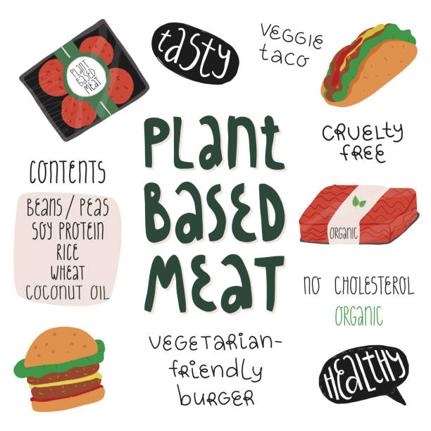 Plant-based meat meals like vegetarian burger, vegan taco, product packs like minced and patties, contents lettering and stickers Healthy, tasty. Alternative food concept. Plant-based meat meals like vegetarian burger, vegan taco, product packs like minced and patties, contents lettering and stickers Healthy, tasty. Alternative food concept. pea protein powder stock illustrations