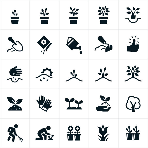 Planting and Growing Icons A set of icons representing planting, growing and cultivating of plants and trees. The icons include seeds, planting, plants, plants growing, trees growing, cultivation, watering, flowers, soil preparation and seedlings among others. plant symbols stock illustrations