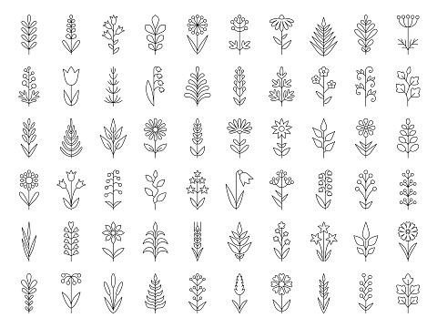Set of decorative plants. Geometric icon set. Thin line illustration. Vector design elements on white background