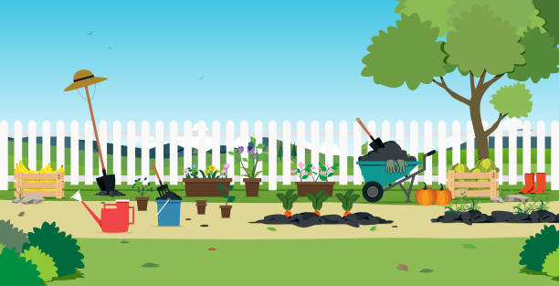 Plants in the garden Garden plants and agricultural equipment with white fence. flower borders stock illustrations