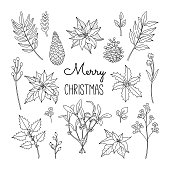 Set of Christmas plants and leaf, poinsettia, pine cone and holly berry, black line. Hand drawn floral collection, holiday elements. Vector illustration in doodle style isolated on white background.