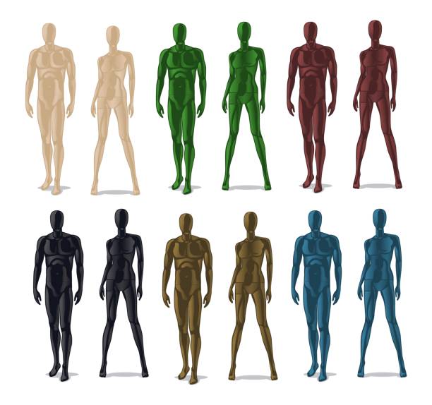 Plastic mannequins set Plastic mannequins. Men and women model dolls for clothes. Isolated colorful dummy for fashion store vector set mannequin stock illustrations