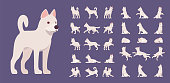 White dog set. Working active breed, cute family home pet, companion for disability assistance, search, rescue, police, military help. Vector flat style cartoon illustration, different views and poses
