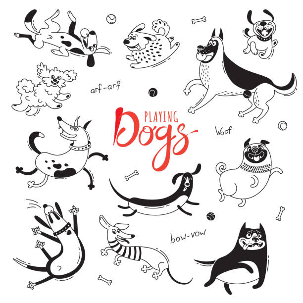 Playing dogs. Funny lap-dog, happy pug, mongrels and other breeds. Set of isolated vector drawings for design Playing dogs. Funny lap-dog, happy pug, mongrels and other breeds. Set of isolated vector drawings for design. dog drawings stock illustrations
