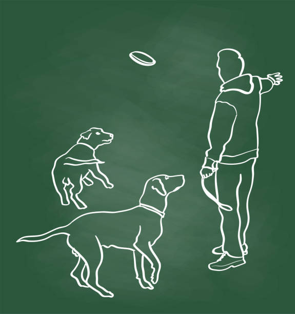 Playing With My Dogs Chalkboard Man throwing a frizbee at his two dogs  vector illustration frisbee stock illustrations