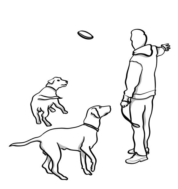 Playing With My Dogs Man throwing a frizbee at his two dogs  vector illustration frisbee clipart stock illustrations