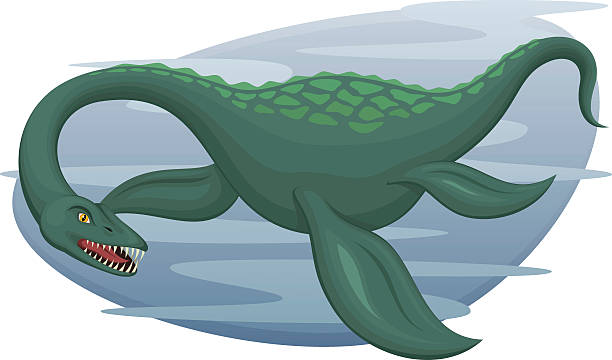 Plesiosaur Vector illustration of a plesiosaur, a marine dinosaur-like creature (a la Loch Ness Monster), against a watery blue abstract background. The creature is on his own layer, easily separated from the background in a program like Illustrator, etc.  Illustration uses linear gradients on the background only; solid color only on the plesiosaur himself.  Both .ai and AI8-compatible .eps formats are included, along with a high res .jpg, a high-res .png with transparent background, as well as a high-res .jpg with no blue background, and a high-res .png with no blue background (transparent behind the plesiosaur). loch ness monster stock illustrations