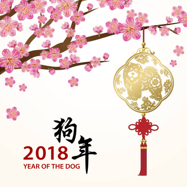 Plum Blossom for the Year of the Dog Celebrate the Chinese New Year in the year of the Dog 2018 with plum blossom and dog's pendant on the background, the Chinese calligraphy means Year of the Dogs chinese year of the dog stock illustrations
