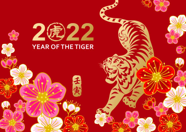 plum blossom of tiger year - chinese new year stock illustrations