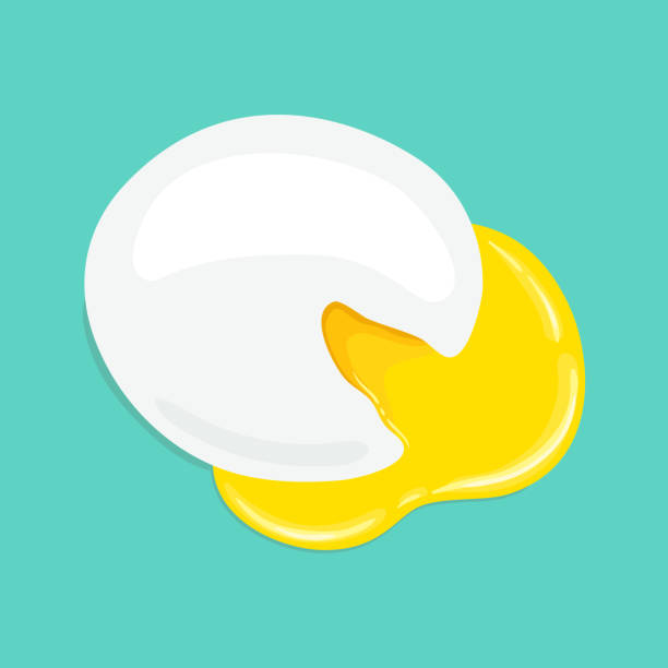 Poached egg with runny yolk. Top view. Vector hand drawn illustration. Poached egg, top view. Fresh delicious egg poached and cut, runny yellow yolk. Yummy breakfast. Vector hand drawn illustration. poached food stock illustrations
