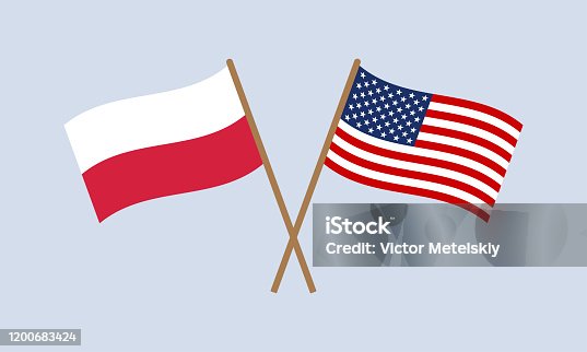 istock Poland and USA crossed flags on stick. Polish and American national symbols. Vector illustration. 1200683424
