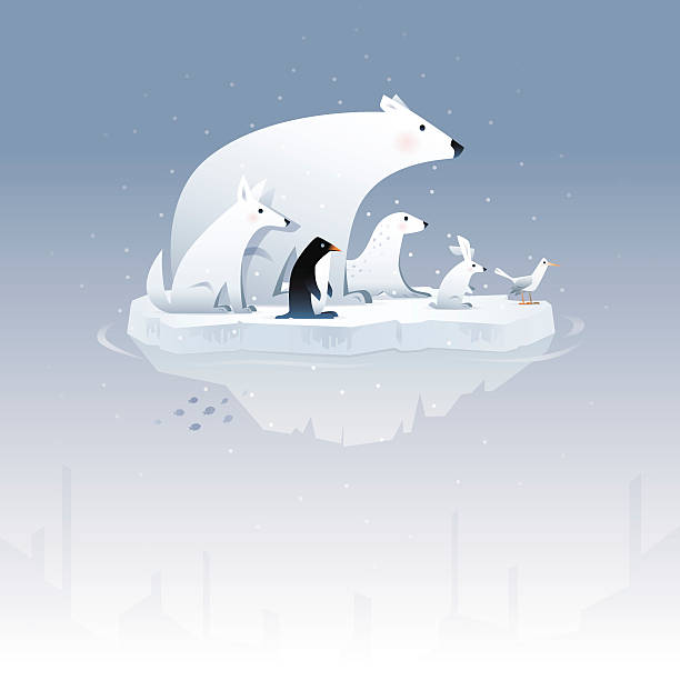 polar bear and friends  arctic stock illustrations
