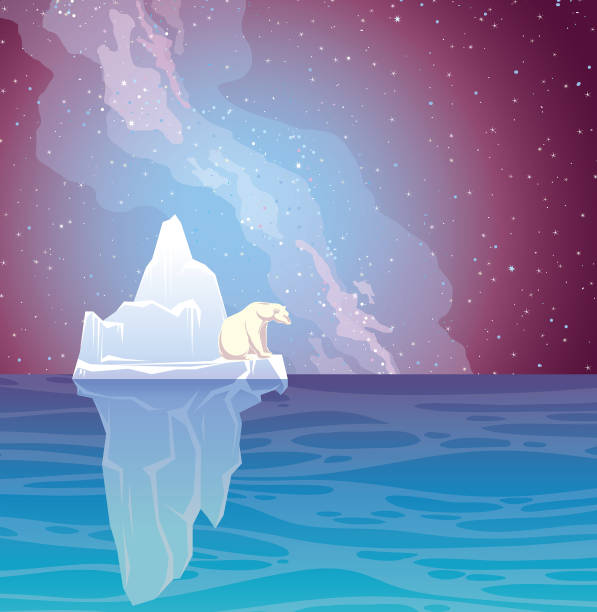 북극곰, 빙산, 바다와 노른 빛. - 북극광 일러스트 stock illustrations