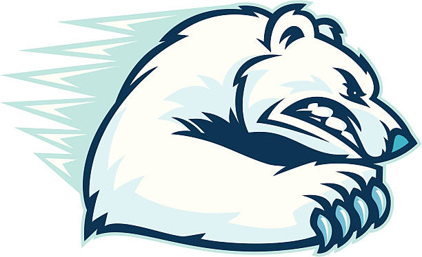Polar Bear Scratch. An Aggressive Polar Bear. bear growling stock illustrations