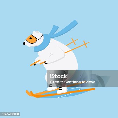 istock Polar bear surfing snowboard on downhill. Extreme outside winter sport concept 1365708031