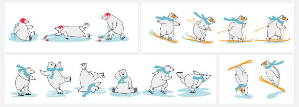stockillustraties, clipart, cartoons en iconen met polar bear winter sport training. skiing, snowboarding, skating, freestyle ski jumping and ice hockey - posing with ski