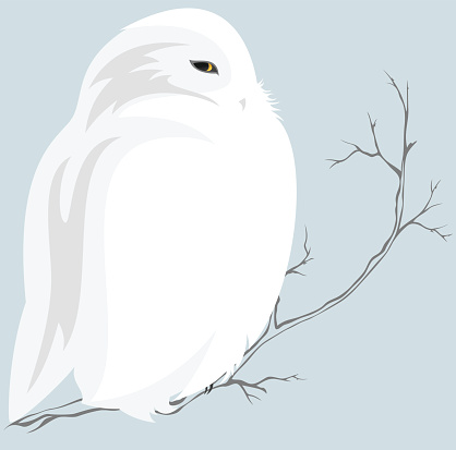 Free 277 Snowy Owl Svg SVG PNG EPS DXF File - Download Free SVG Cut Files