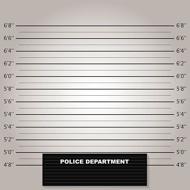 Police lineup or mugshot background vector Police lineup or mugshot background vector waiting in line photos stock illustrations