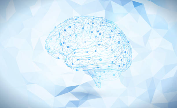 Polygonal brain isolated on light blue BG Low poly triangular wireframe brain vector illustration isolated on white and blue polygonal space background brain backgrounds stock illustrations