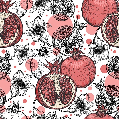 Pomegranate fruits and flowers on a white background. Floristics. Vintage graphics. Seamless pattern. Space illustration.