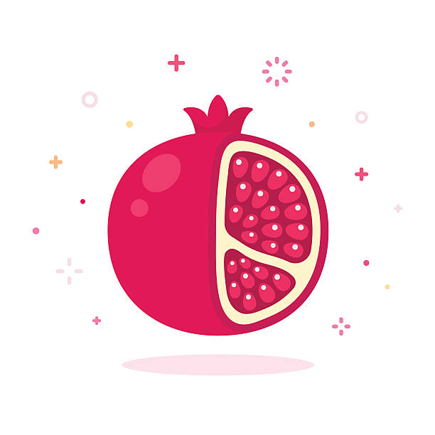 pomegranate vector illustration Pomegranate vector illustration. Cartoon icon of pomegranate on white background. smoothie silhouettes stock illustrations