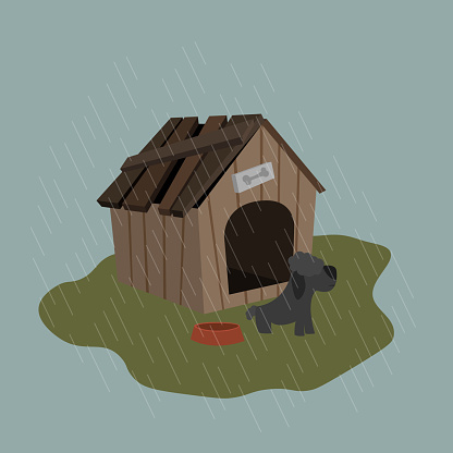 Poor wet dog standing in front of a ruined dog house while it's raining outside