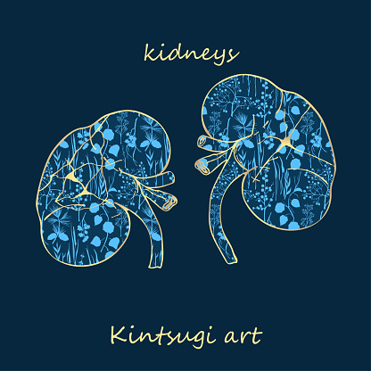 Porcelain kidneys decorated blue plant pattern decorated golden craquelure in kintsugi art style. Modern upcycling eco trend. Good design for fashion t-shirt, fabric, scrapbooking, stickers Vector