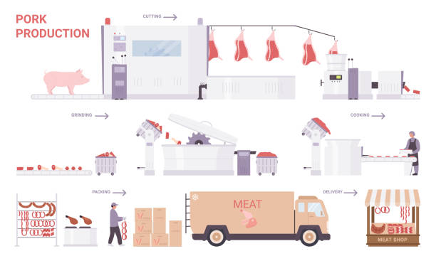 Pork meat production process stages, factory processing line with industrial equipments Pork meat production process stages vector illustration. Cartoon factory processing line with industrial equipment to produce pork sausages and meat products for sale, food industry technology chain store stock illustrations