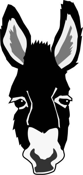 Donkey Head Illustrations, Royalty-Free Vector Graphics & Clip Art - iStock