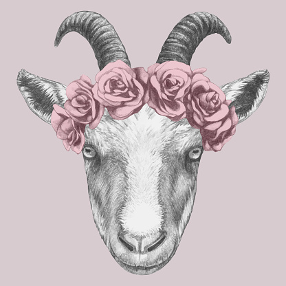 Portrait of Goat with floral head wreath. Hand-drawn illustration. Vector isolated elements.
