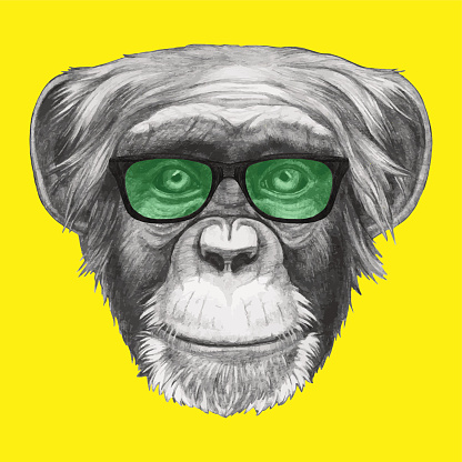 Portrait of Monkey with glasses.