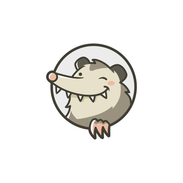 possum vector mascot character cartoon illustration possum vector mascot character cartoon illustration opossum stock illustrations