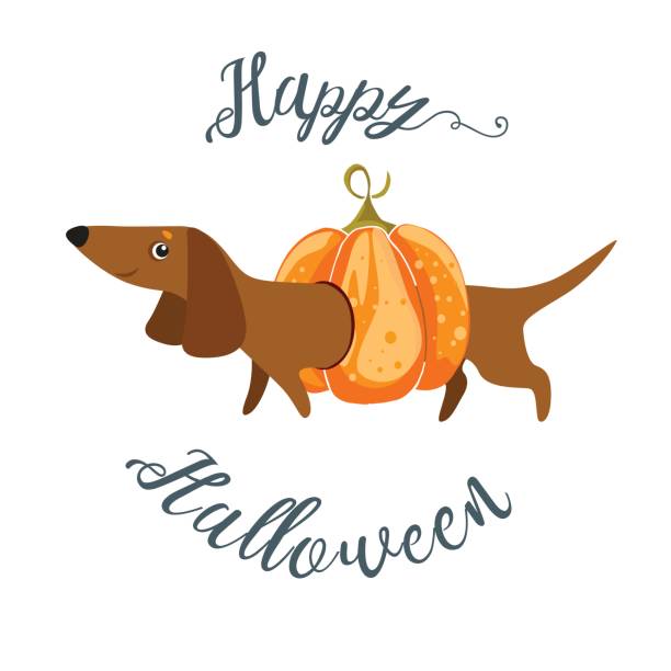 Best Halloween Dog Illustrations, Royalty-Free Vector Graphics & Clip