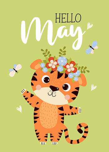 Postcard Hello May. Cute tiger cub with flower wreath on its head and butterflies. Vector illustration. Spring May card with tiger character for design, decor, postcards and print, Kids collection