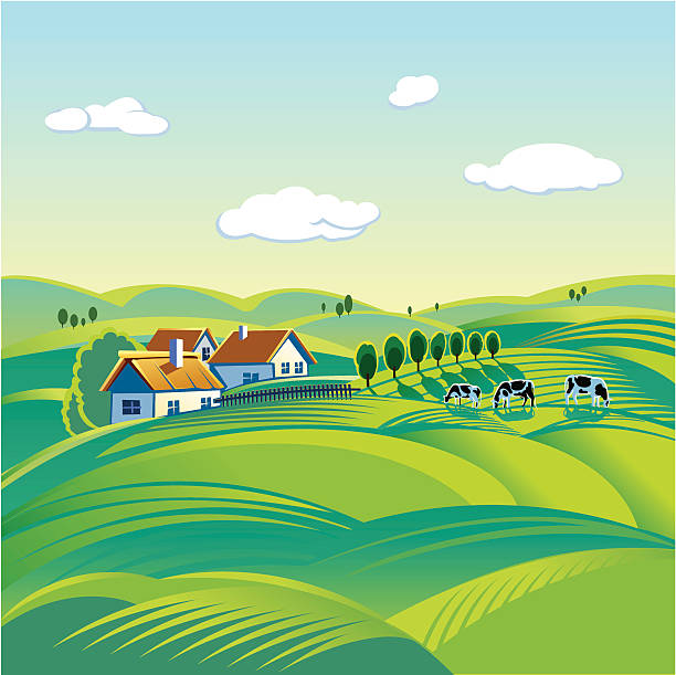 Poster of peaceful summer day in a town Morning rural landscape, with cows and small houses agricultural field illustrations stock illustrations