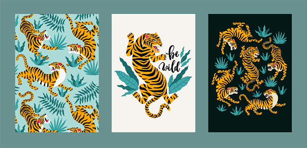 Poster set of tigers and tropical leaves. Trendy illustration.