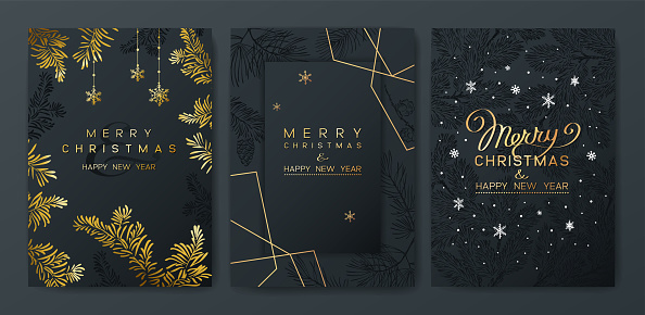 Christmas Poster set. Vector illustration of dark Background with branches of Christmas tree.