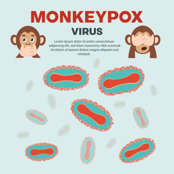 Poster Warning monkeypox smallpox Poster Warning monkeypox smallpox. Monkey covering his mouth, eyes. Monkeypox virus cells. Ape face. Monkeypox concept. Vector Illustration monkeypox vaccine stock illustrations