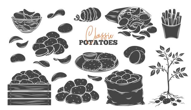 bildbanksillustrationer, clip art samt tecknat material och ikoner med potatisprodukter glyf ikoner som - potato
