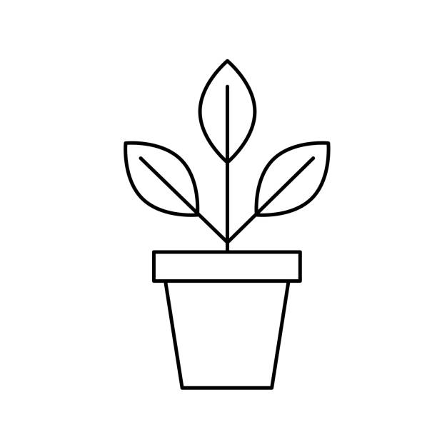 Potted Plant Garden Thin Line Icon With Editable Stroke On Transparent Base vector art illustration