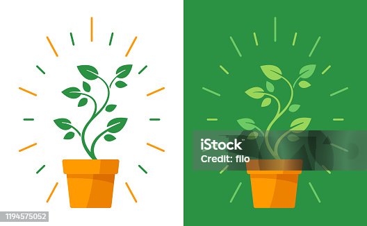istock Potted Plant 1194575052