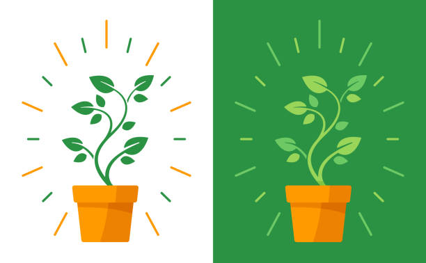 Potted Plant Potted plant with leaves growing in a pot with burst lines. cultivated stock illustrations